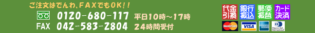 アロエ注文